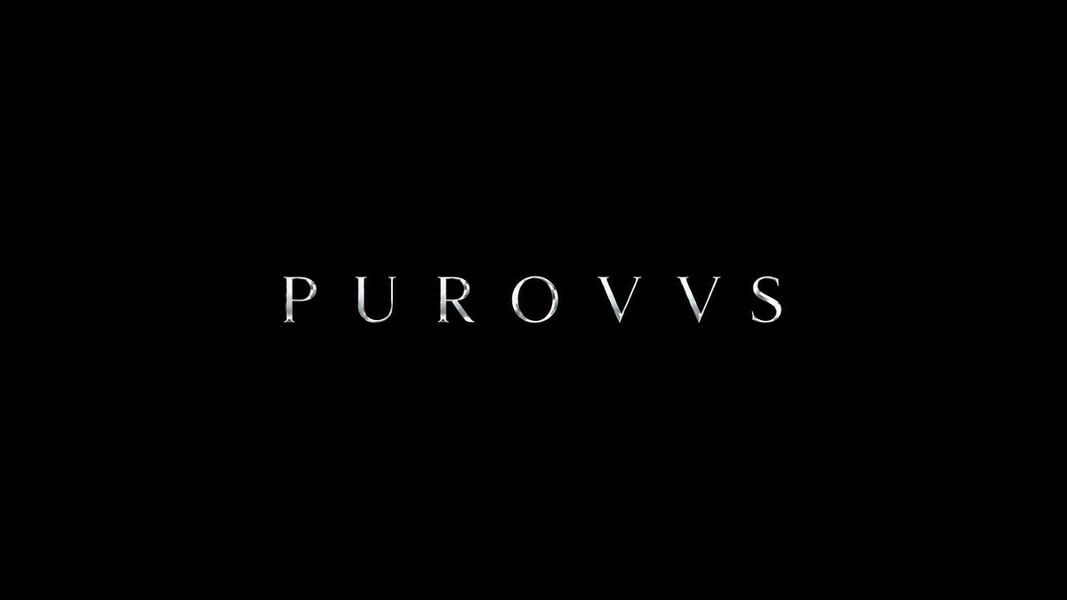 puro vvs